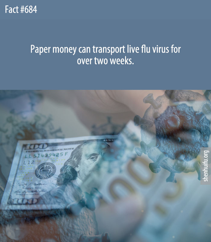 Paper money can transport live flu virus for over two weeks.