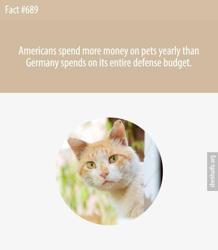 Americans spend more money on pets yearly than Germany spends on its entire defense budget.