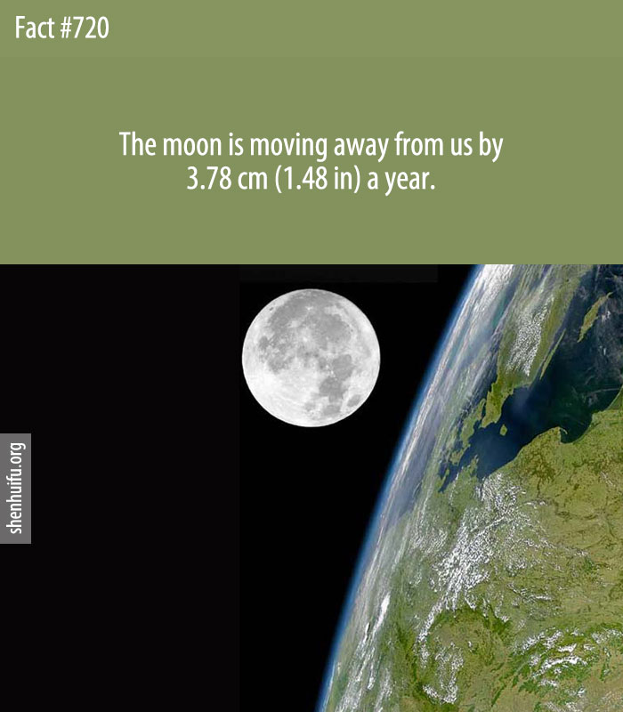 The moon is moving away from us by 3.78 cm (1.48 in) a year.