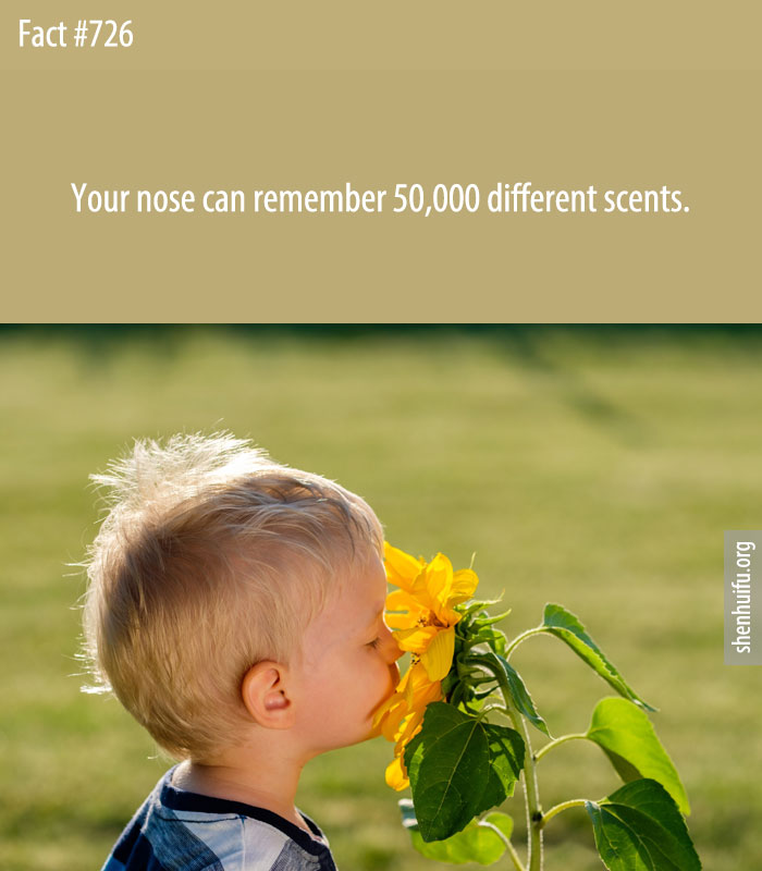 Your nose can remember 50,000 different scents.