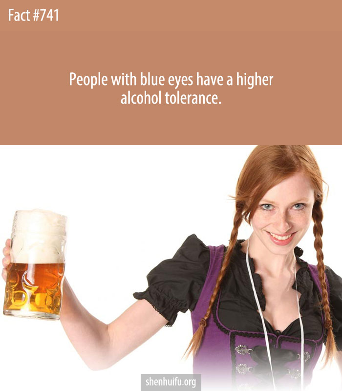 People with blue eyes have a higher alcohol tolerance.