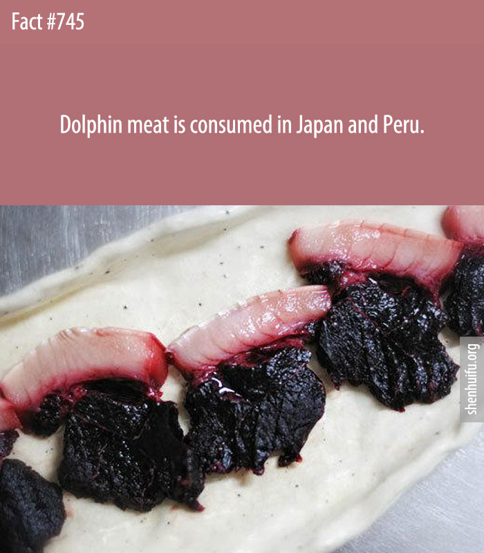 Dolphin meat is consumed in Japan and Peru.