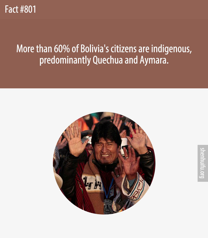 More than 60% of Bolivia's citizens are indigenous, predominantly Quechua and Aymara.