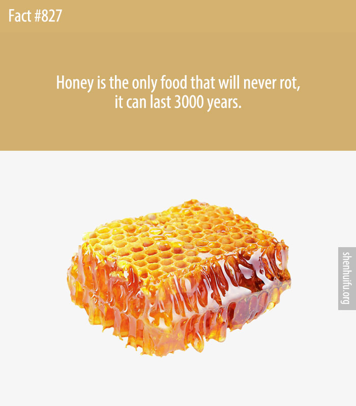 Honey is the only food that will never rot, it can last 3000 years.