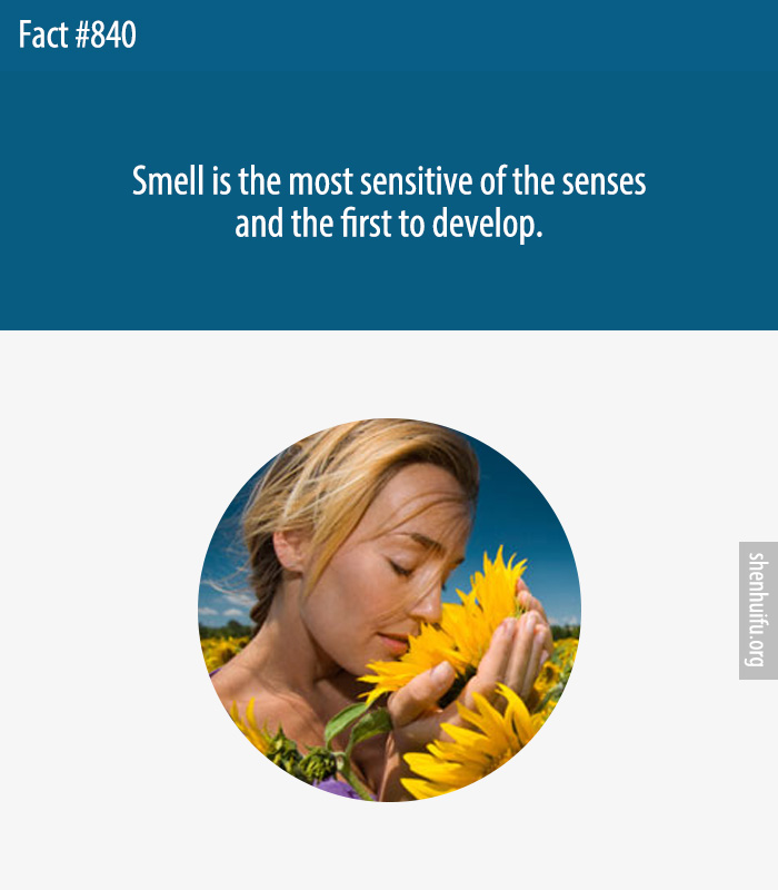 Smell is the most sensitive of the senses and the first to develop.