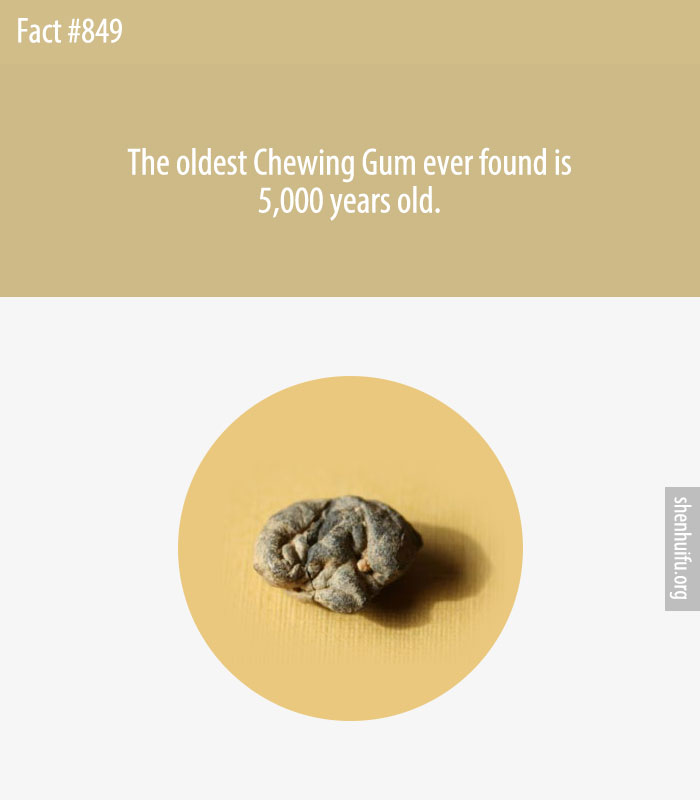 The oldest Chewing Gum ever found is 5,000 years old.