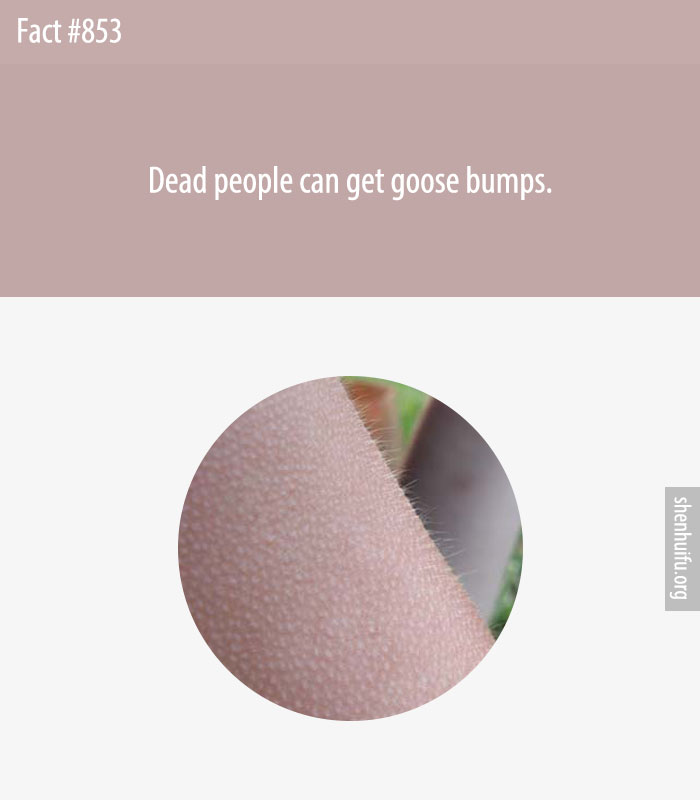 Dead people can get goose bumps.