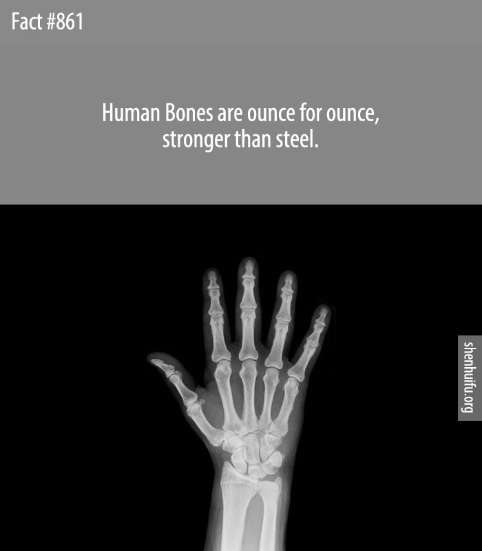 Human Bones are ounce for ounce, stronger than steel.