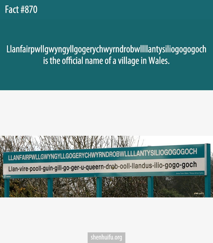 Llanfairpwllgwyngyllgogerychwyrndrobwllllantysiliogogogoch is the official name of a village in Wales.