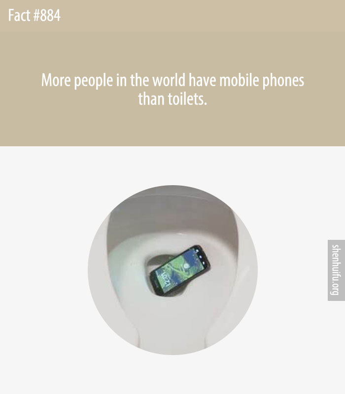 More people in the world have mobile phones than toilets.