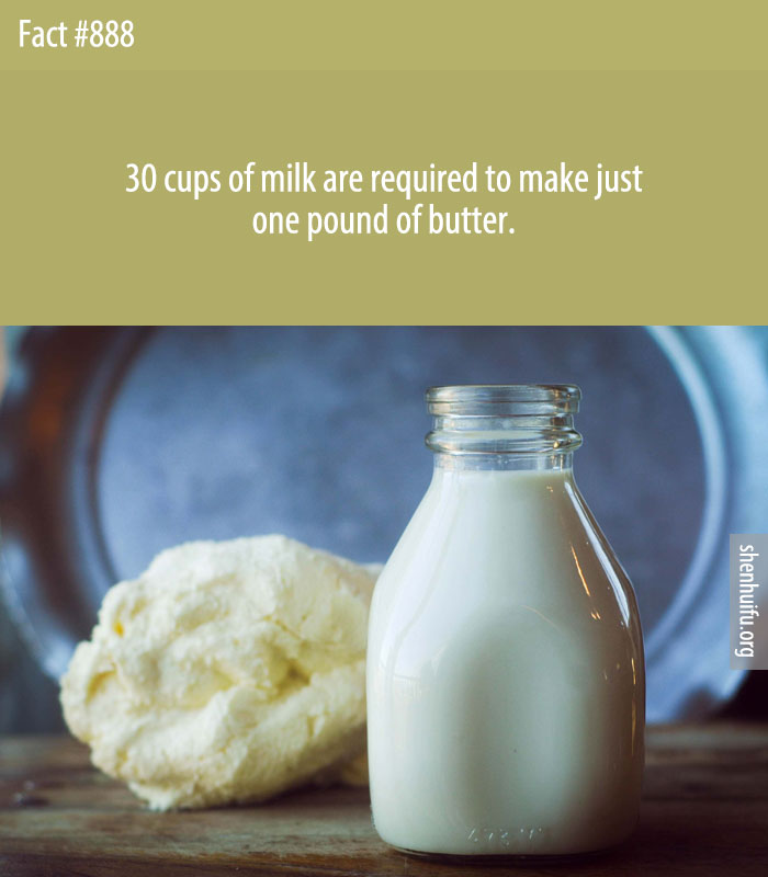 30 cups of milk are required to make just one pound of butter.