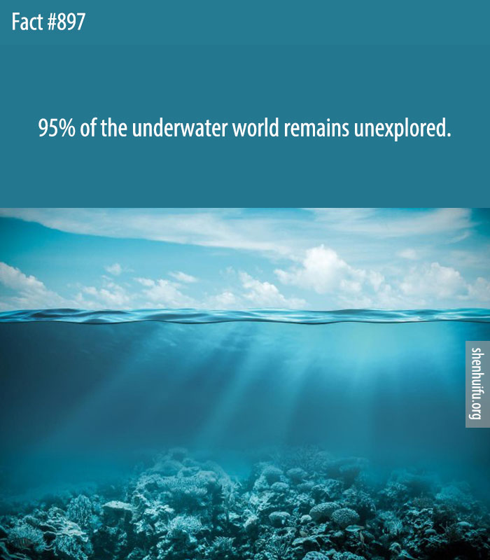 95% of the underwater world remains unexplored.