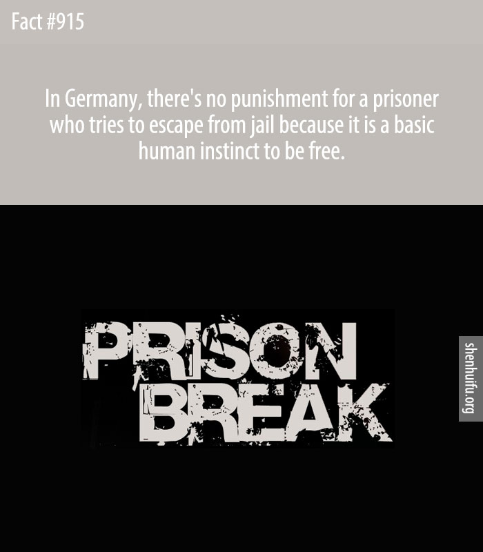 In Germany, there's no punishment for a prisoner who tries to escape from jail because it is a basic human instinct to be free.