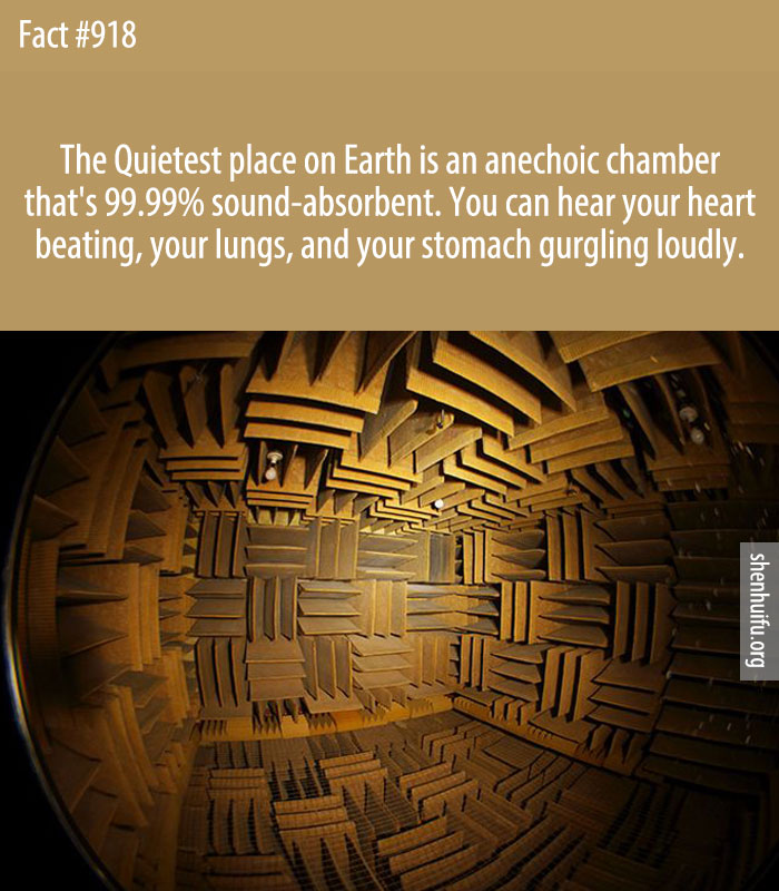 The Quietest place on Earth is an anechoic chamber that's 99.99% sound-absorbent. You can hear your heart beating, your lungs, and your stomach gurgling loudly.