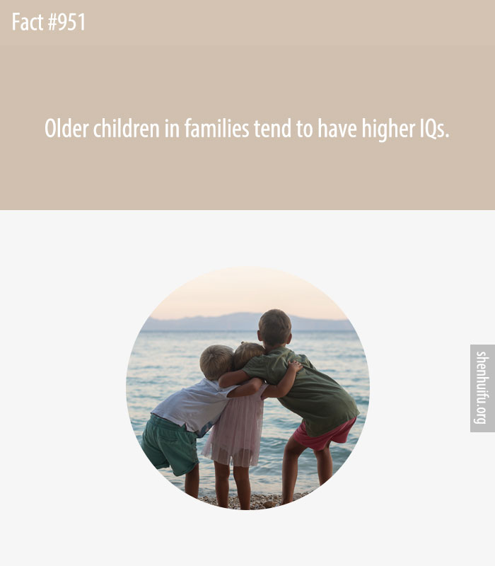 Older children in families tend to have higher IQs.