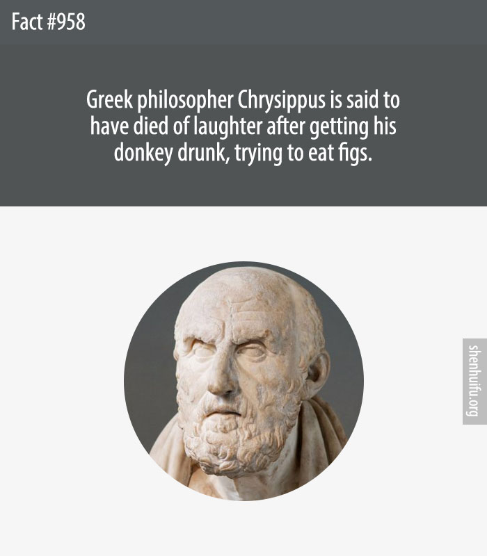Greek philosopher Chrysippus is said to have died of laughter after getting his donkey drunk, trying to eat figs.