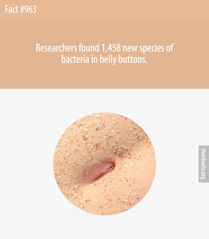 Researchers found 1,458 new species of bacteria in belly buttons.