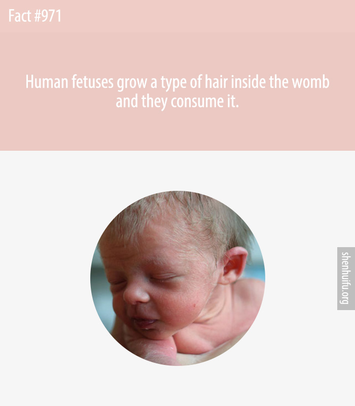 Human fetuses grow a type of hair inside the womb and they consume it.