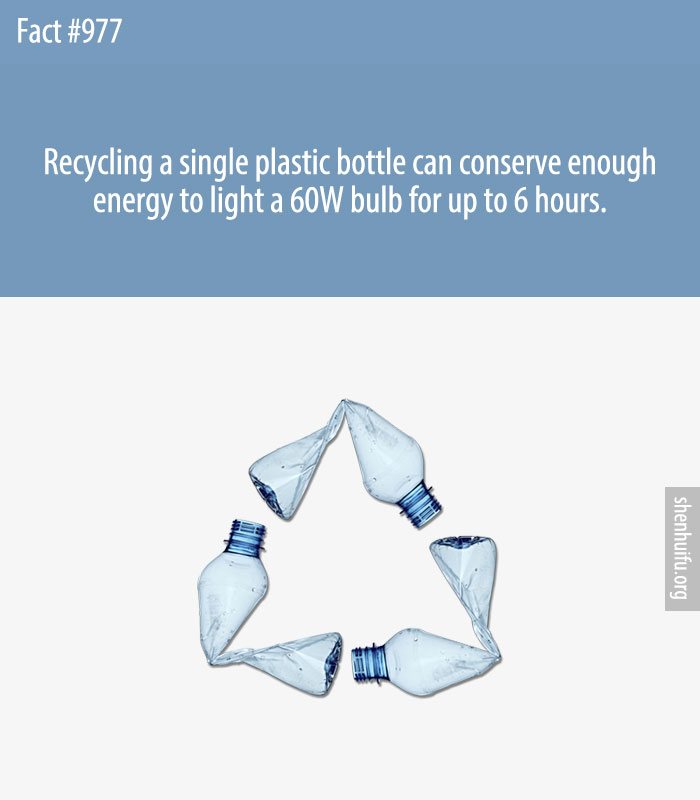 Recycling a single plastic bottle can conserve enough energy to light a 60W bulb for up to 6 hours.