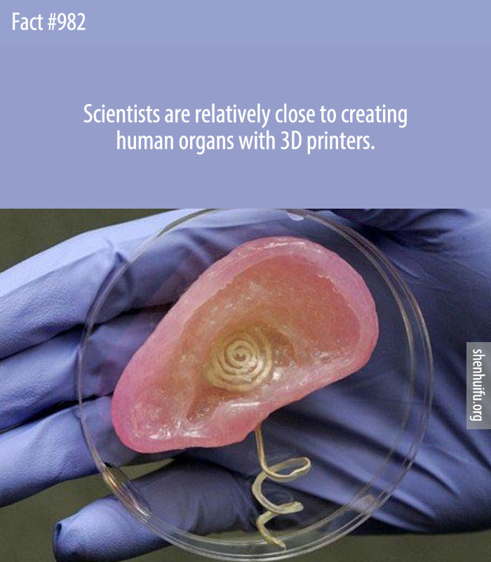 Scientists are relatively close to creating human organs with 3D printers.