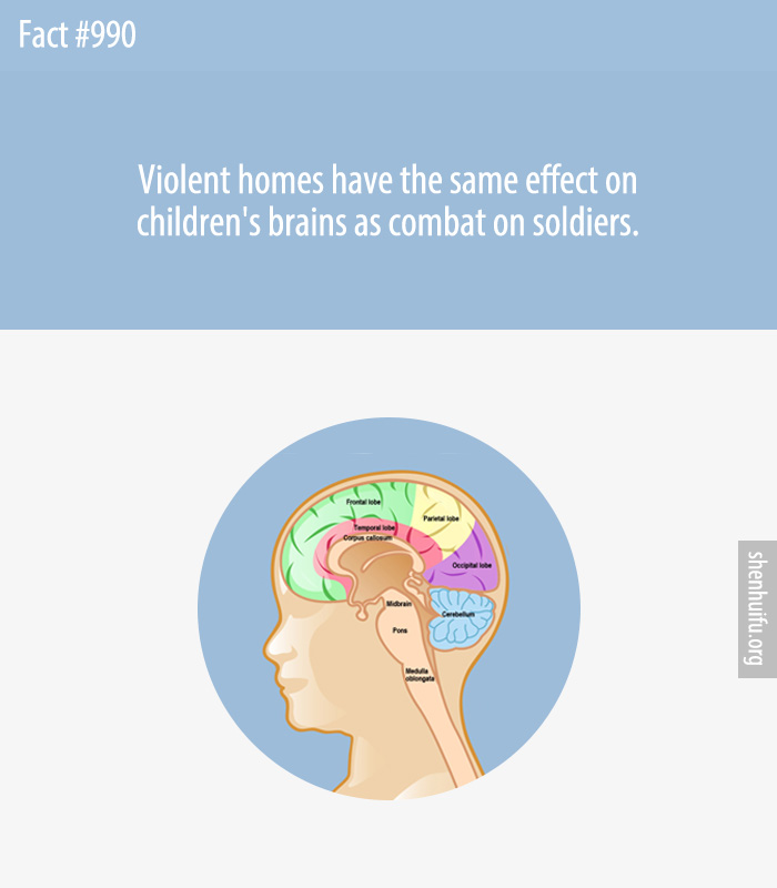 Violent homes have the same effect on children's brains as combat on soldiers.