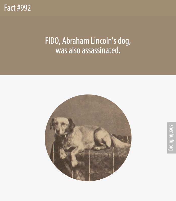 FIDO, Abraham Lincoln's dog, was also assassinated.