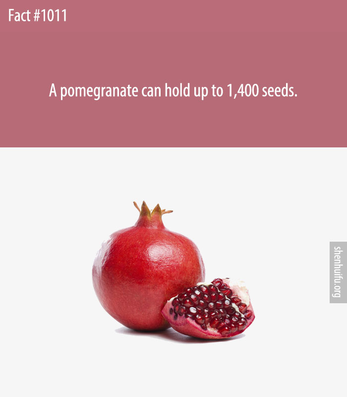 A pomegranate can hold up to 1,400 seeds.