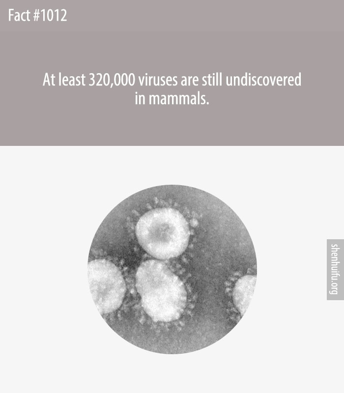 At least 320,000 viruses are still undiscovered in mammals.