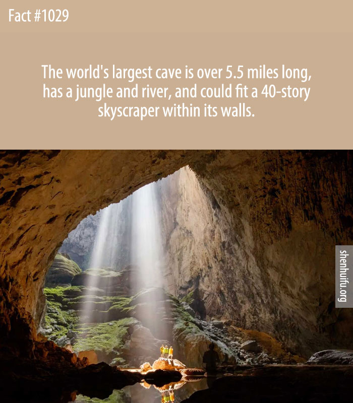 The world's largest cave is over 5.5 miles long, has a jungle and river, and could fit a 40-story skyscraper within its walls.