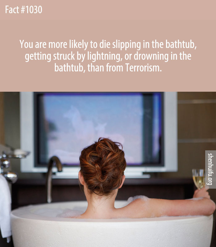 You are more likely to die slipping in the bathtub, getting struck by lightning, or drowning in the bathtub, than from Terrorism.