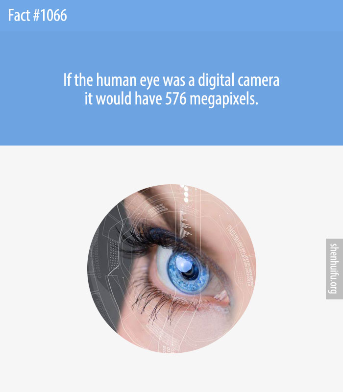 If the human eye was a digital camera it would have 576 megapixels.