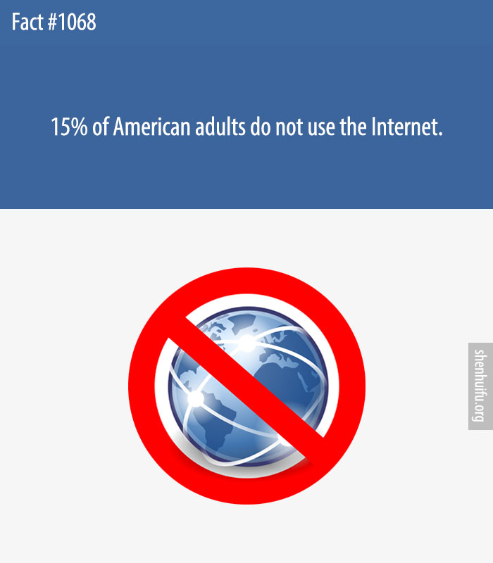 15% of American adults do not use the Internet.