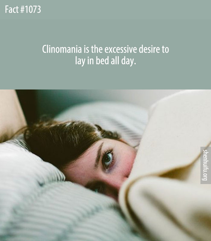 Clinomania is the excessive desire to lay in bed all day.