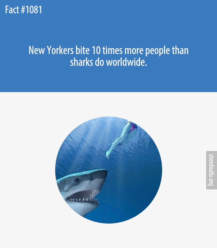 New Yorkers bite 10 times more people than sharks do worldwide.