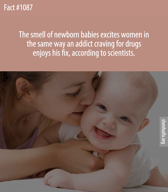 The smell of newborn babies excites women in the same way an addict craving for drugs enjoys his fix, according to scientists.
