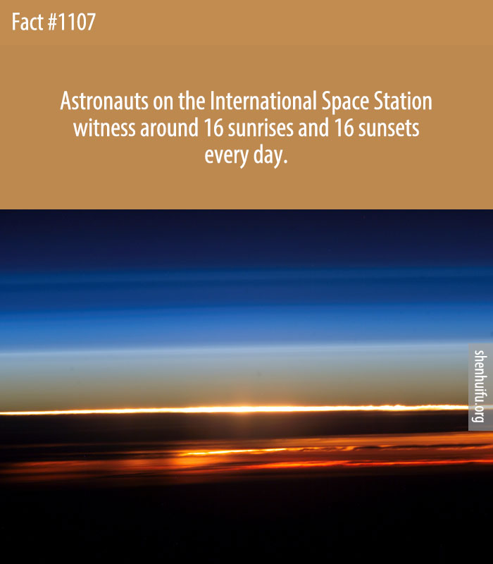 Astronauts on the International Space Station witness around 16 sunrises and 16 sunsets every day.