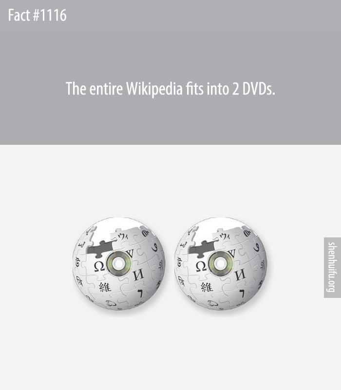 The entire Wikipedia fits into 2 DVDs.