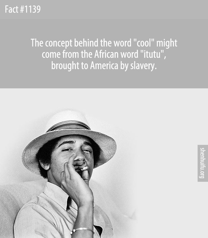 The concept behind the word 'cool' might come from the African word 'itutu', brought to America by slavery.