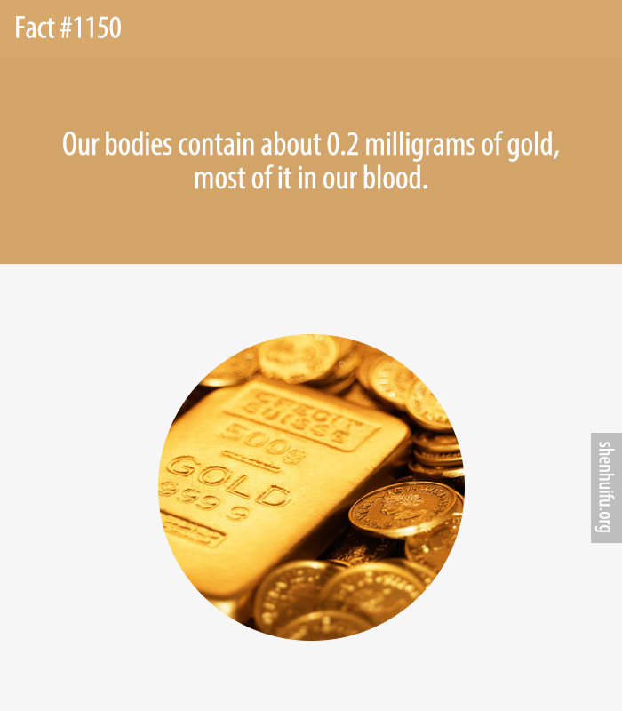 Our bodies contain about 0.2 milligrams of gold, most of it in our blood.