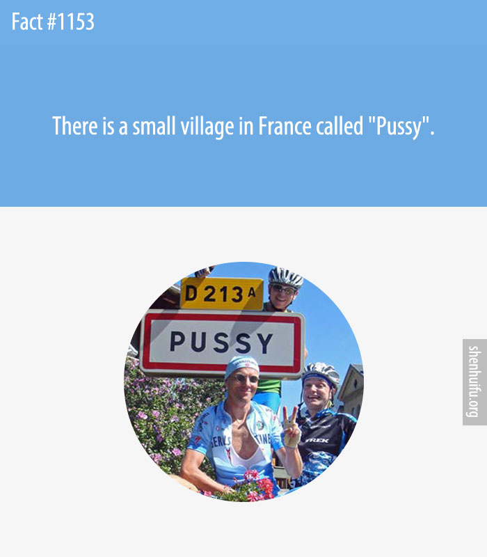 There is a small village in France called 'Pussy'.