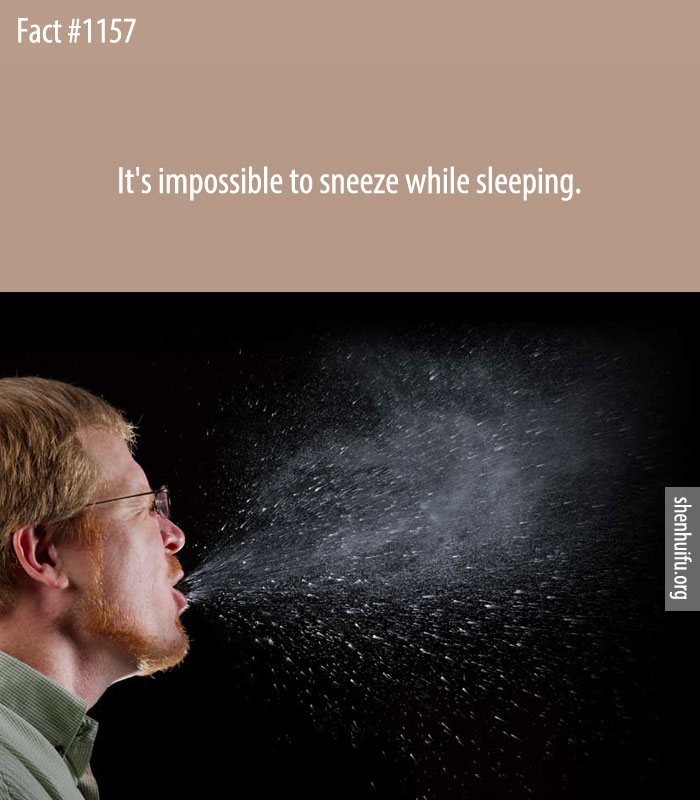 It's impossible to sneeze while sleeping.