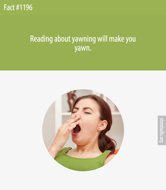Reading about yawning will make you yawn.