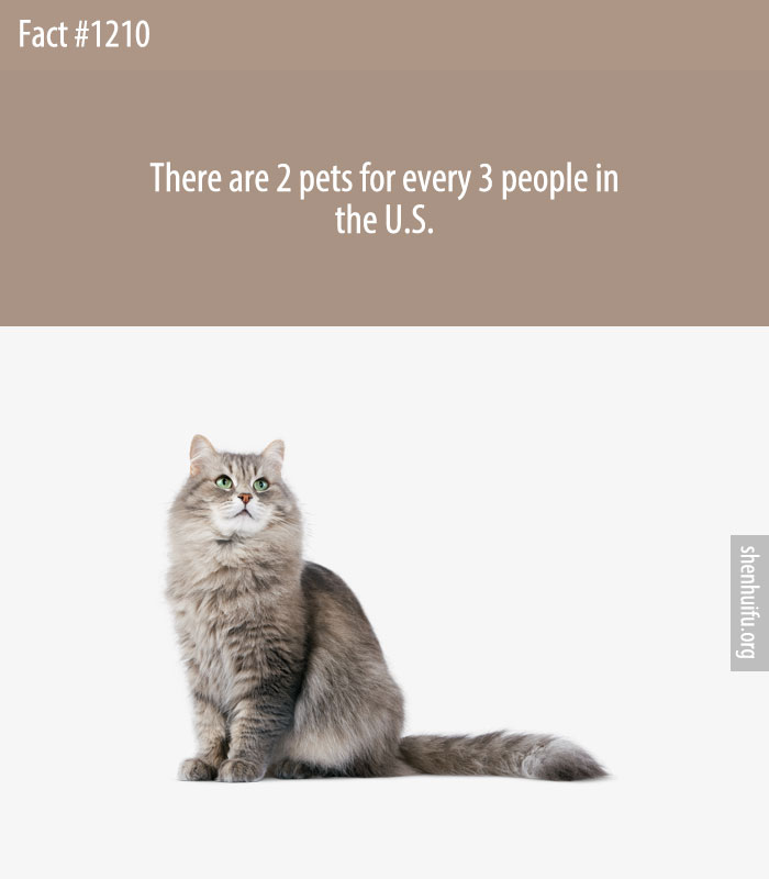 There are 2 pets for every 3 people in the U.S.