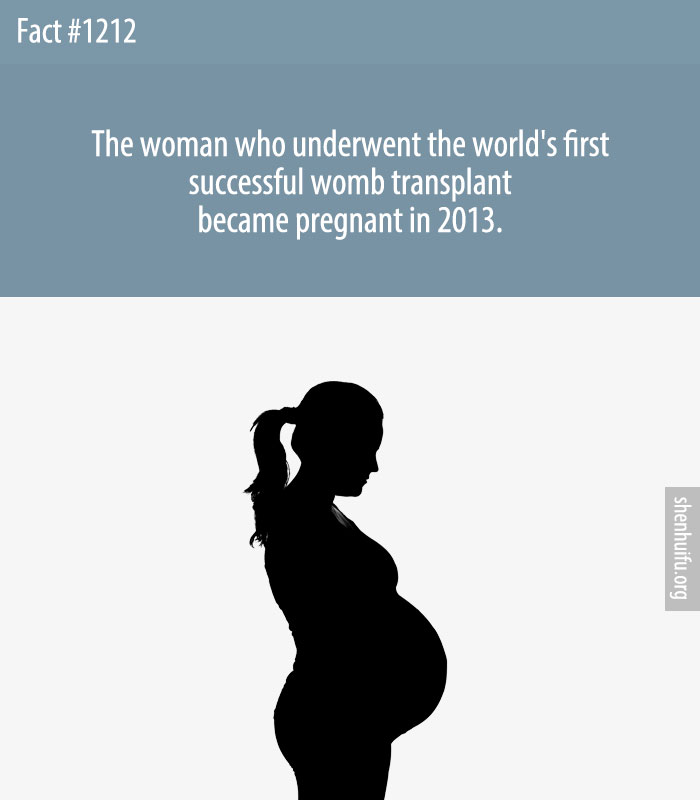 The woman who underwent the world's first successful womb transplant became pregnant in 2013.