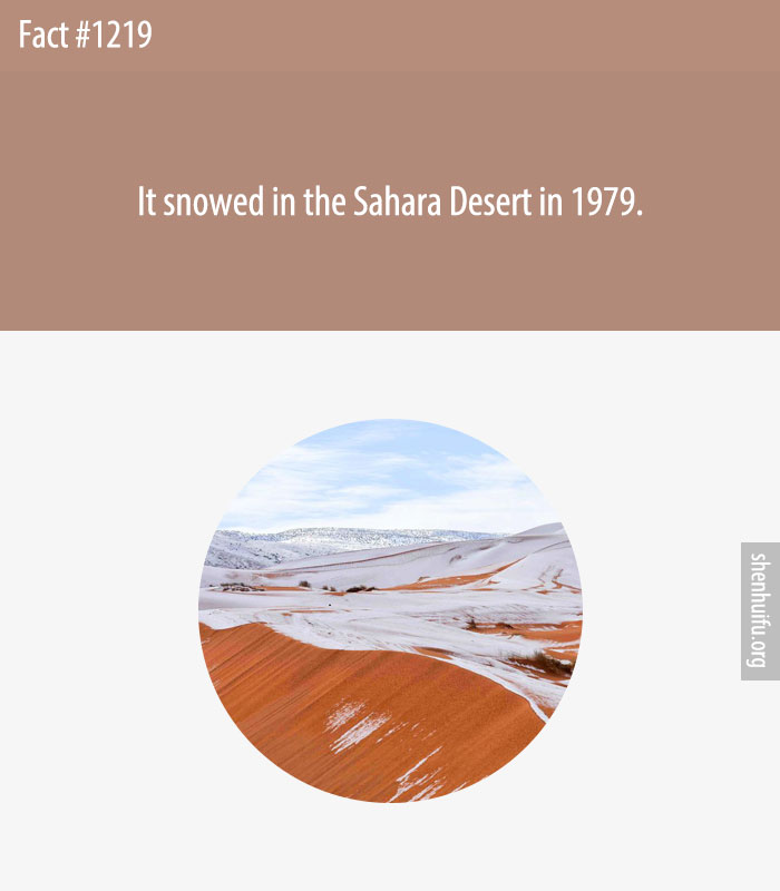 It snowed in the Sahara Desert in 1979.