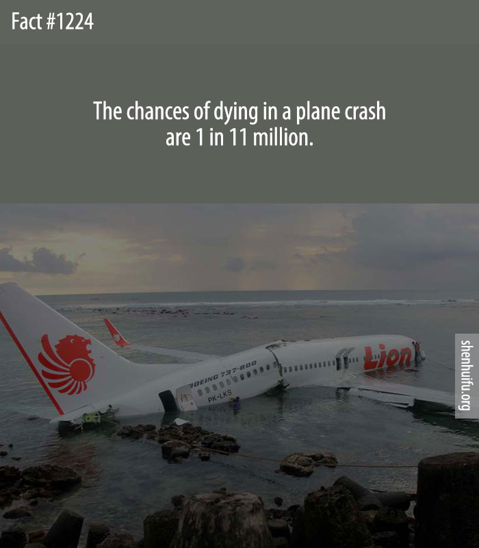 The chances of dying in a plane crash are 1 in 11 million.