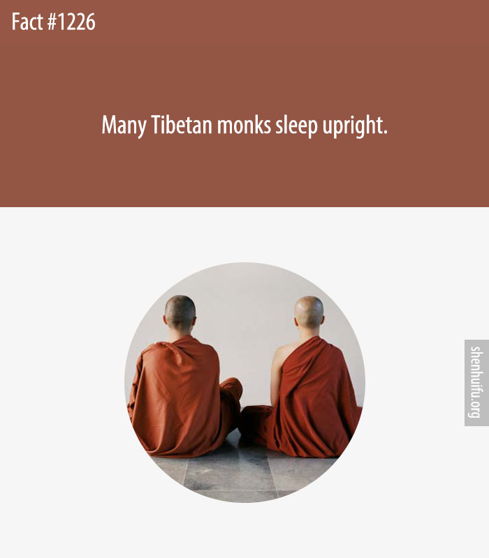 Many Tibetan monks sleep upright.
