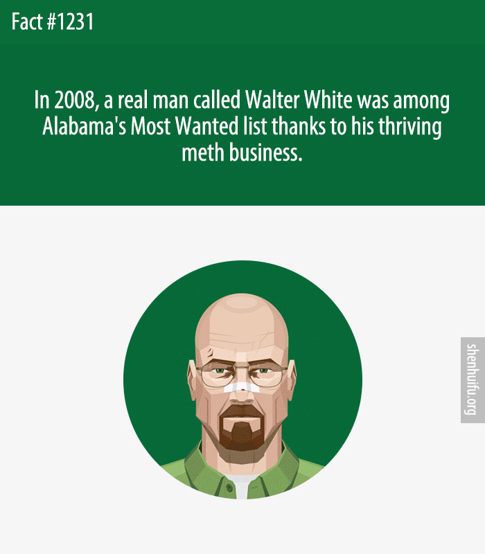 In 2008, a real man called Walter White was among Alabama's Most Wanted list thanks to his thriving meth business.