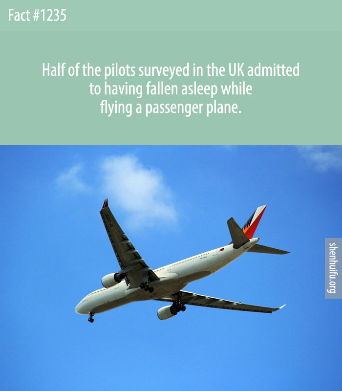 Half of the pilots surveyed in the UK admitted to having fallen asleep while flying a passenger plane.