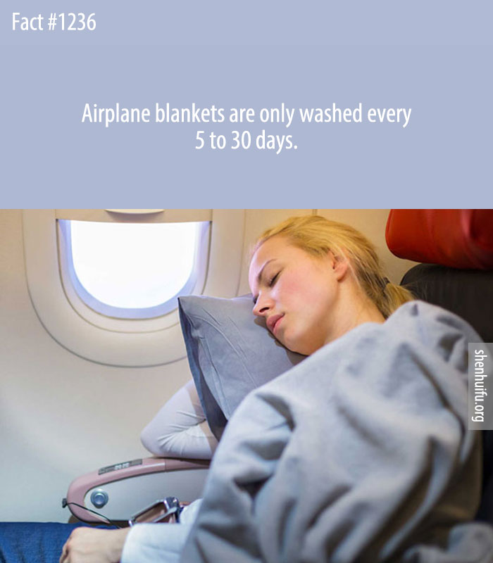 Airplane blankets are only washed every 5 to 30 days.